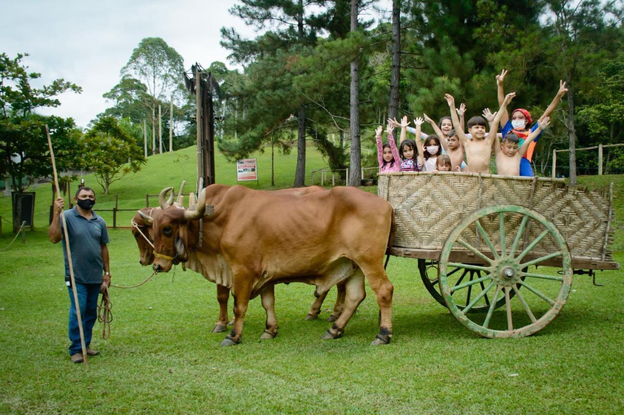 Hotel Fazenda Chiminelli 卡舒埃拉斯迪马卡库 外观 照片